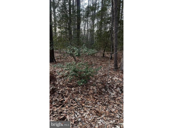 Lot 33 RICHARDSON ST, HAGUE, VA 22469