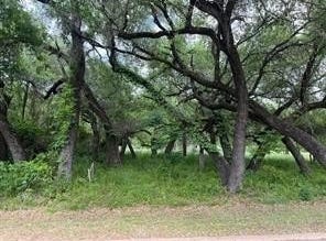 27074 Stonewood Drive, Whitney, TX 76692