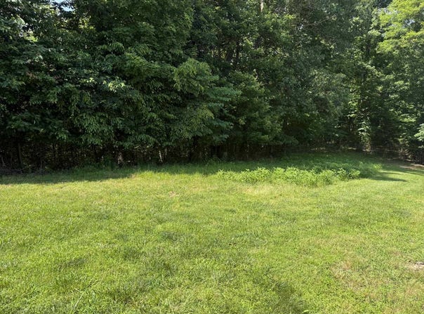 Lots 87 & 88 Crescent Ridge Subdivision, Albany, KY 42602