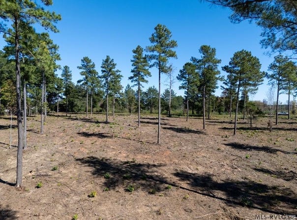 Lot 1 Christiana Highway, Lawrenceville, VA 23868
