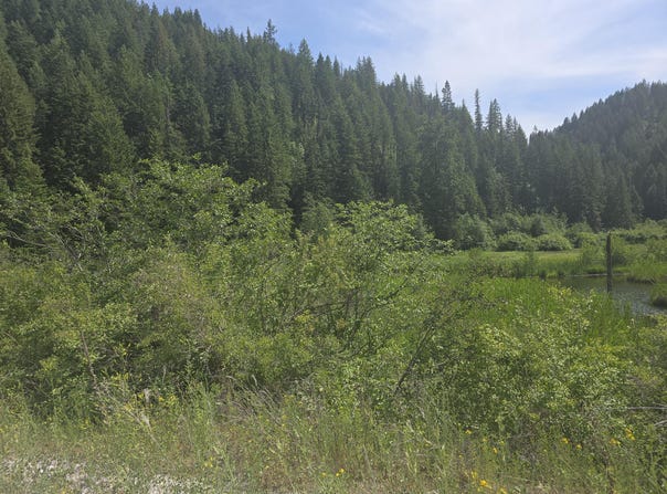 37XX RED MARBLE RD, VALLEY, WA 99181