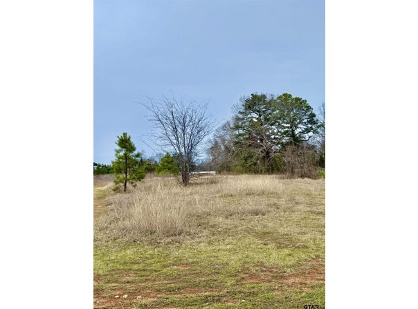 433 Palo Duro Lane, Bullard, TX 75757