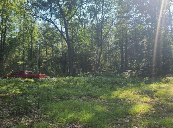 0000 NE Bailey Road, Kalkaska, MI 49646