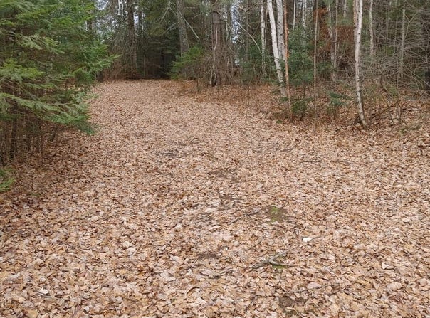 Lot 31 SHADY KNOLL RD, Fifield, WI 54552