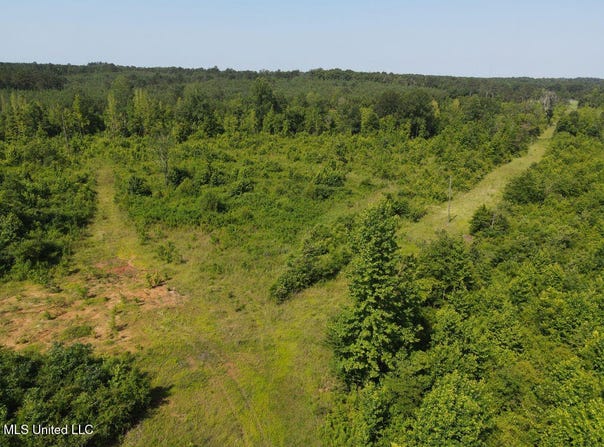 001 County Road 1024, Carthage, MS 39051