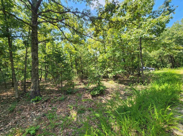 L-1,2,3, B-19 Nicatouse Drive, Cherokee Village, AR 72529
