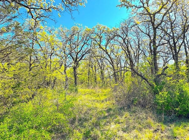 7885 Old Agnes Road, Poolville, TX 76487