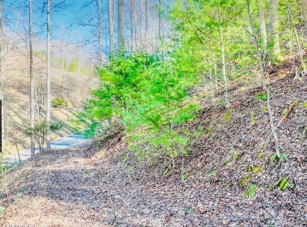 Lot 18 Horseshoe Cove Dr/Mistyhollow Drive, Butler, TN 37640
