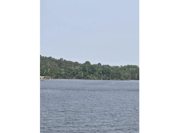 0 Mccormick Hwy Highway, Lincolnton, GA 30817