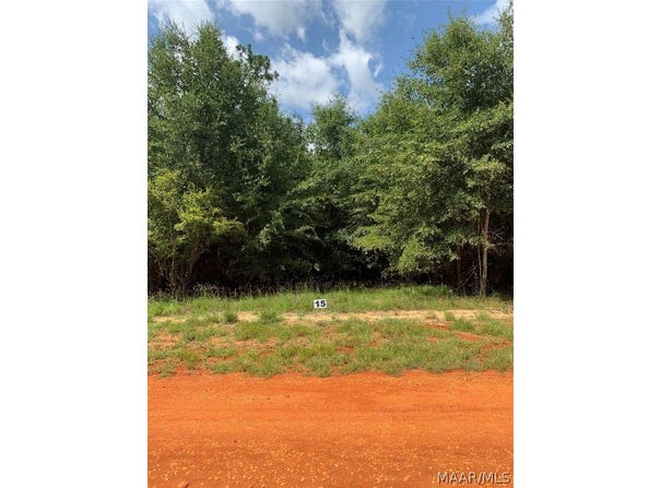 Deer Loop lot: 15, Camden, AL 36726