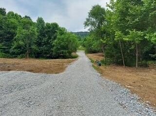 1112 Covered Bridge Road, Wallingford, KY 41093