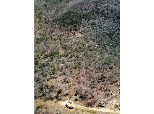 Lot 2 Deer Meadows Lane, Yellville, AR 72687