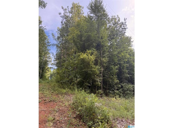 0 COUNTY ROAD 228, MAPLESVILLE, AL 36750