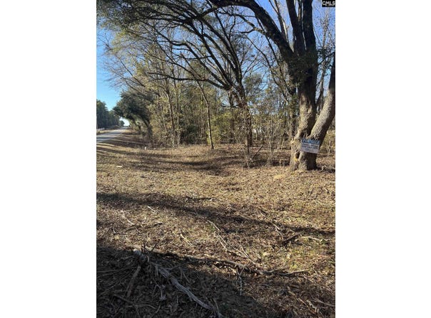 TBD Swansea Road tract a, Swansea, SC 29160