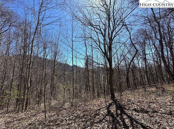 Lot 10 & Reserved Lot Yasmine Lane, Vilas, NC 28692