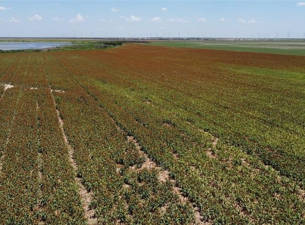 359 Acres CR 164, No City, TX 79521
