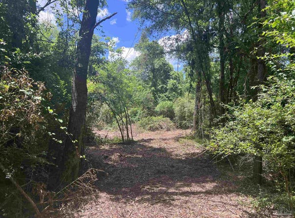 10961 Hwy 97, Mcdavid, FL 32568