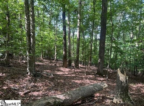 158 Latham Drive, Anderson, SC 29621
