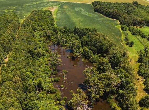 Cotton Loop, MS 38670