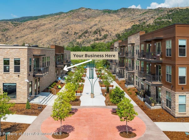 5 Tree Farm Drive, Basalt, CO 81621