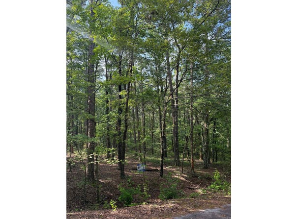 TBD Almansa Lane, Hot Springs Village, AR 71909