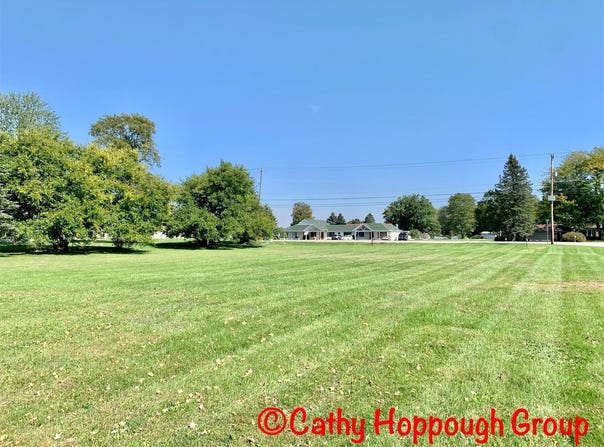 Reimer Drive, Ionia, MI 48846