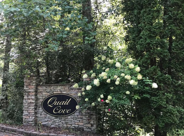 11a Snipe Hollow Lane, Warne, NC 28909