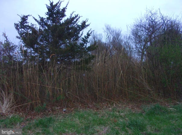 873 DOWNE AVENUE, FORTESCUE, NJ 08321