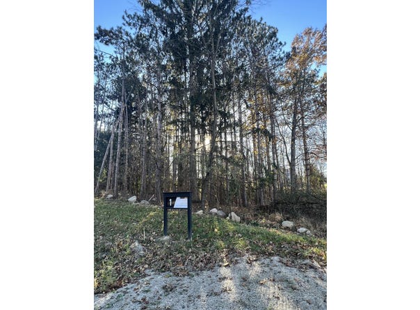 6825 Morrison Hls Court, Dexter, MI 48130
