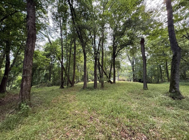 2410 Rodney Rd, Lorman, MS 39096