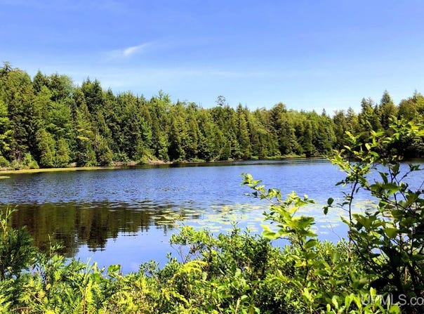 25 Acres TBD Pelissier Lake, Marquette, MI 49855