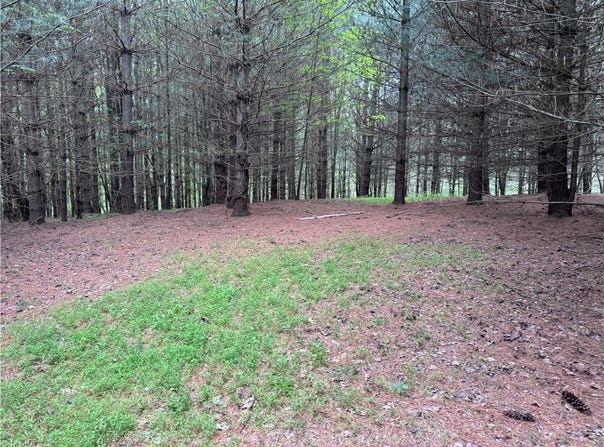 X Green Meadow Lane, Ararat, NC 27007