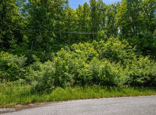 Saddleridge lot: 18, Speedwell, TN 37870