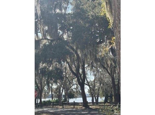 25146 NE 140TH LOOP, SALT SPRINGS, FL 32134