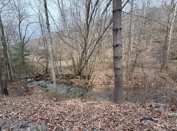 Kanawha Run Rd, Sutton, WV 26601