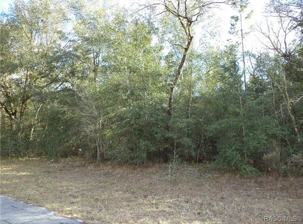 2690 W April Lane, Citrus Springs, FL 34654