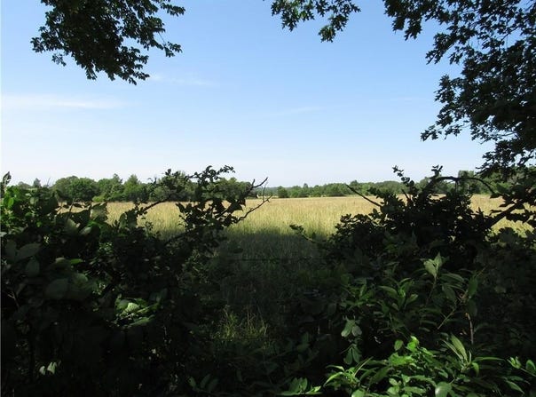 TBD - 8.5 acres Bethel Rd Bethel  RD, Gravette, AR 72736