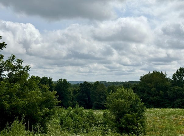 0 Newark Road, Solsberry, IN 47459