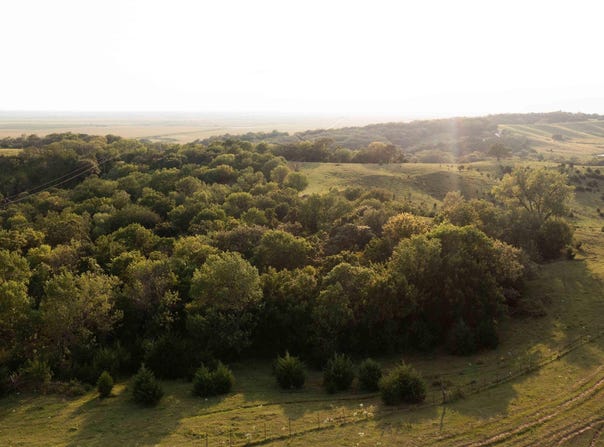 Knox Road, Thurman, IA 51654