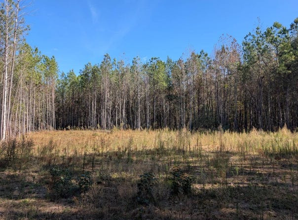 0 County Rd 51, Greensboro, AL 36033