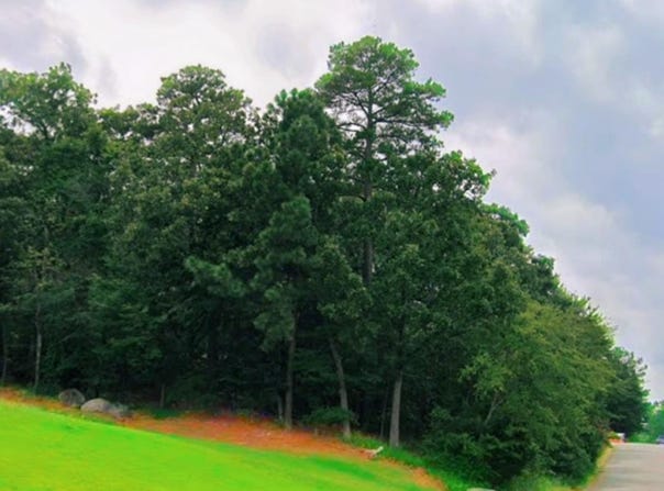 26 Norfork Drive, Maumelle, AR 72113
