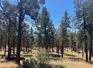 Crossbill Drive, Klamath Falls, OR 97601