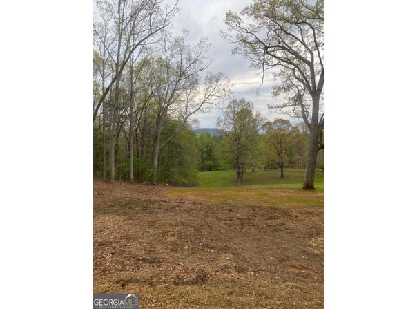 225 Hilltop, Clarkesville, GA 30523