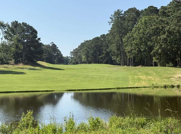 108 Oak Trace Ct, Chapin, SC 29036