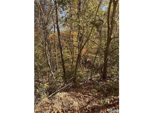 4619 Legacy Preserve Way SE, Brownsboro, AL 35741