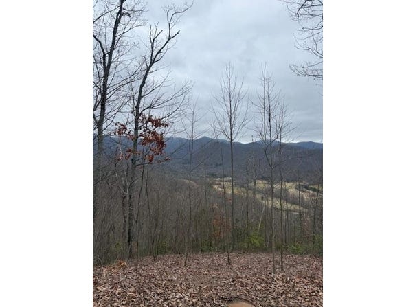 Ethan Ridge, Hayesville, NC 28909
