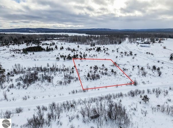6436 Lora Bette Drive, Alanson, MI 49706