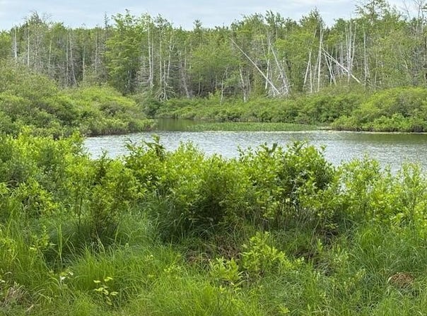 Dead Stream, Cooper, ME 04657