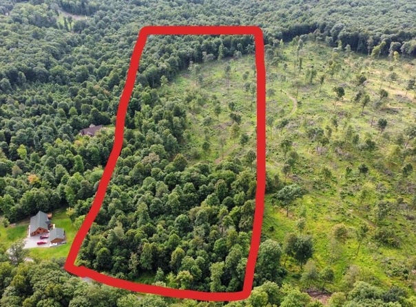 0 Mountain Springs Road, Alum Bank, PA 15521