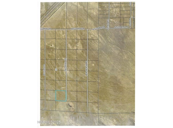 08067107 Palomino Rd, Golconda, NV 89414